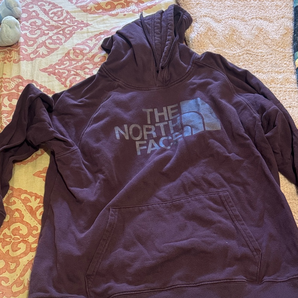 The North Face Plum Pullover Hoodie with Logo